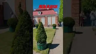 Пётр I. Петергоф. Mon plaisir