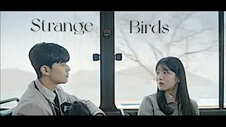Ok Chanmi & Ji Seohoon - Strange Birds || Revenge of Others