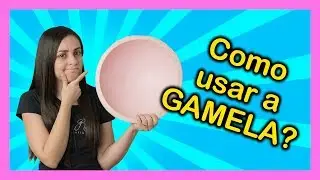 Como usar a GAMELA posicionadora? - Ep15