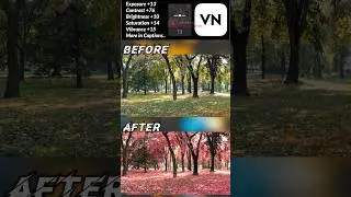 Vn App Se Video Colour Grading Kaise Kare #vn #shorts