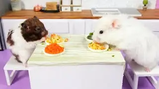 Making Fried Egg Rice with cute Hamsters -  Mini cooking