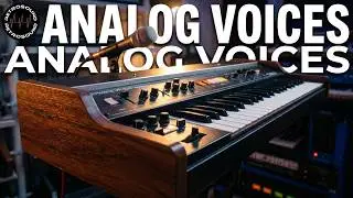 Roland VP-330 Vocoder + Moog Source Analog Synthesizer 