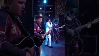 ‪@efectoelegante‬