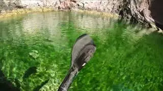 Weeping Springs Serenity