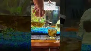Having a Bourbon with our Goldfish…
