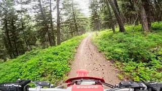 BEAR CREEK IS AMAZING!!! (FULL RIDE)
