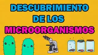 🔴 DESCUBRIMIENTO DE LOS MICROORGANISMOS Y TEORÍA DE LA GENERACIÓN ESPONTÁNEA | Microbiología 🔬