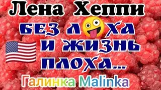 Лена Хэппи /Без л🤪ха и жизнь плоха //Обзор Влогов //