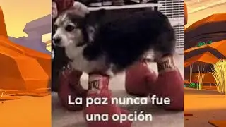 Usando un Brawler de cada calidad
