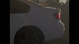 люблю меня долго долго