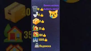 бедный котик #minions #bobik #врекомендации #котики