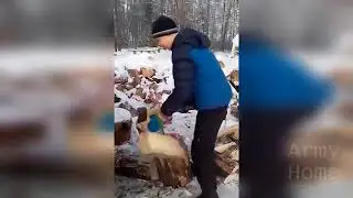 ПРИКОЛЫ 2017 Март #95 жесть угар прикол   ПРИКОЛЮХА