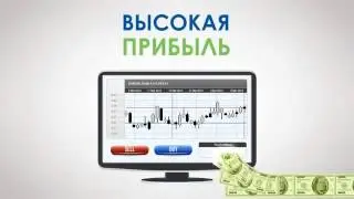 заработок на форекс для новичков
