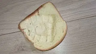 Jinx crush bread under boots