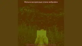 Моменты (каникулы)