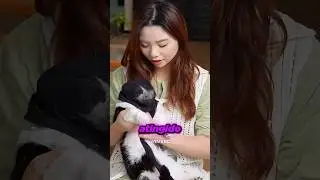 THE CAT THAT DIDN'T REACT: SEE WHAT SHE DISCOVERED! 😱🐱