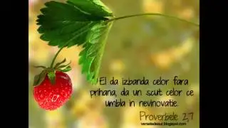 Adi Pop   Noi triumfam in lupta
