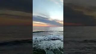красота