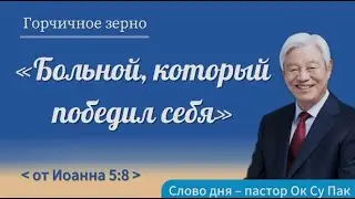 Горчичное зерно № 1