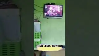 bisa kali ikutan nonton #cat #kucing #kucinglucu #catlover #kitten