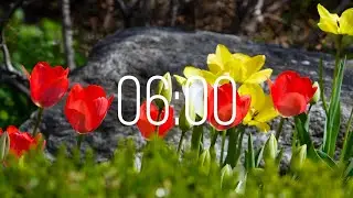 6 Minute Timer with Music | Spring Timer🌹