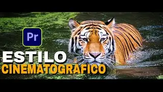 CONSEGUIR EL ESTILO CINEMATOGRÁFICO PARA TUS VIDEOS EN ADOBE PREMIERE PRO