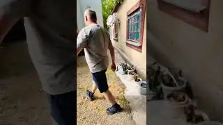 🌴Цветы не перевозить! Переезд на Юг. Виктор Саликов.