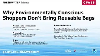 Freshwater Science: Why Environmentally Conscious Shoppers Don’t Bring Reusable Bags