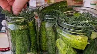 Маринованные хрустящие огурчики без стерилизации. 2024