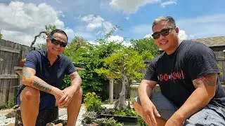 The Bonsai Connection and a Florida Bonsai Garden visit with Bang