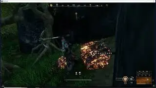 New World  🔥farm lodestone🔥