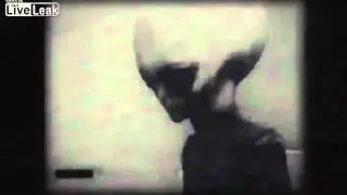 FBI Leaked Zeta Reticula roswell new mexico UFO Crash Survivor MUST SEE!