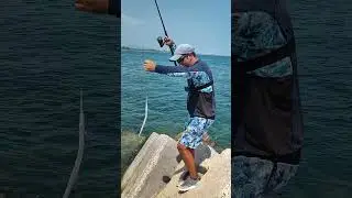 Сарган счастливчик =)