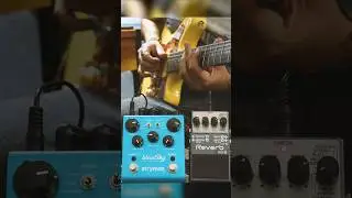 BOSS RV-6 or STRYMON blueSky // What's your FAVORITE AMBIENT Reverb SHIMMER TONE? 