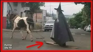 Weird Photos That Literally Hard To Explain 😂
