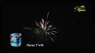Салют "Пегас" 16 зарядов.Урал Салют