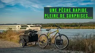 Coup du soir sur le Rhône ~ Pêche de la carpe