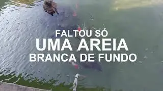 NUNCA IMAGINEI QUE ISSO PODERIA ACONTECER canal saalada