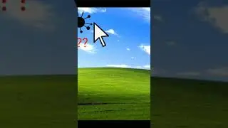 синий екран смерти windows xp 