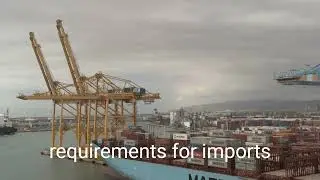 Mastering Customs Entry Procedures: Understanding Document Requirements for Import and Export Goods