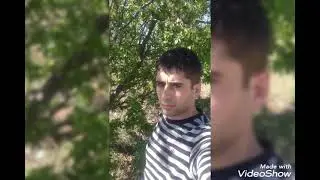гандон