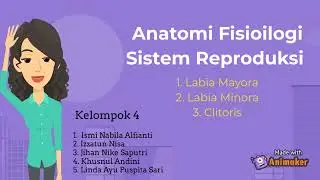 Anatomi Fisiologi Labia mayora, minora dan klitoris