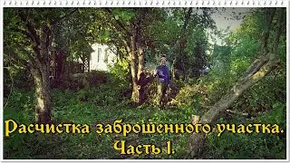 ЗАБРОШЕННАЯ ДАЧА. РАСЧИСТКА УЧАСТКА.  Часть 1.