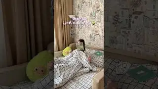 Trk-starjumka🌿 