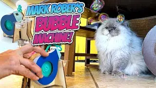 Will Our CAT Love the MARK ROBER BUBBLE MACHINE?!