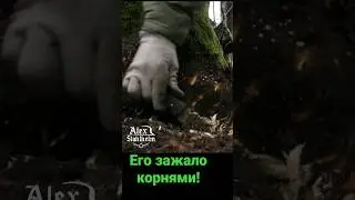Эхо войны. 
