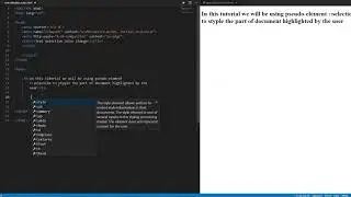 Change text selection color - CSS Tutorial