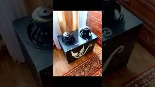 Как же они валят 🤤 #шортс #автозвук #shortvideo #like