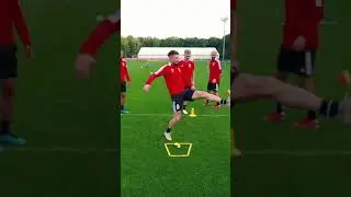 Zapping FT. Standard Liège 🇧🇪