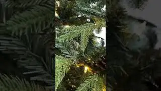 This MINIMALIST Tree Decor Idea Is Totally FREE! (pt.3)🌲 #shorts #christmasdecor #christmastreedecor